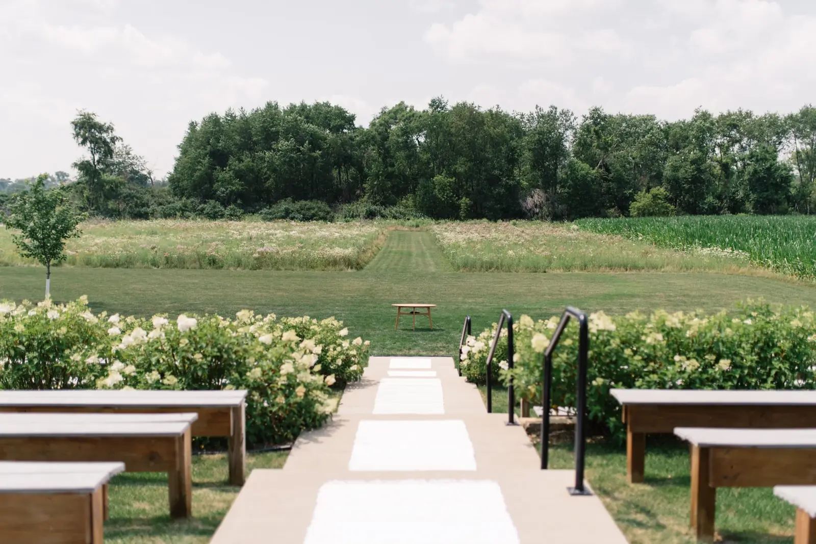 The garden ceremony aisle between the hydrangeas