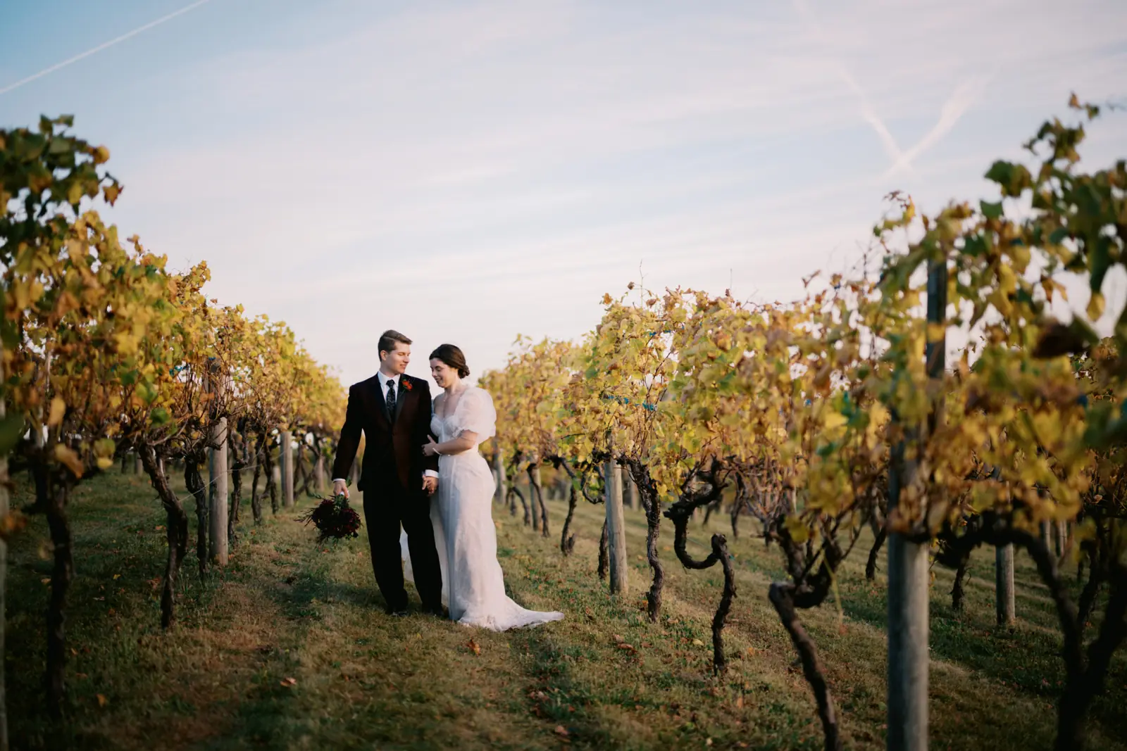 Portraits between the vines