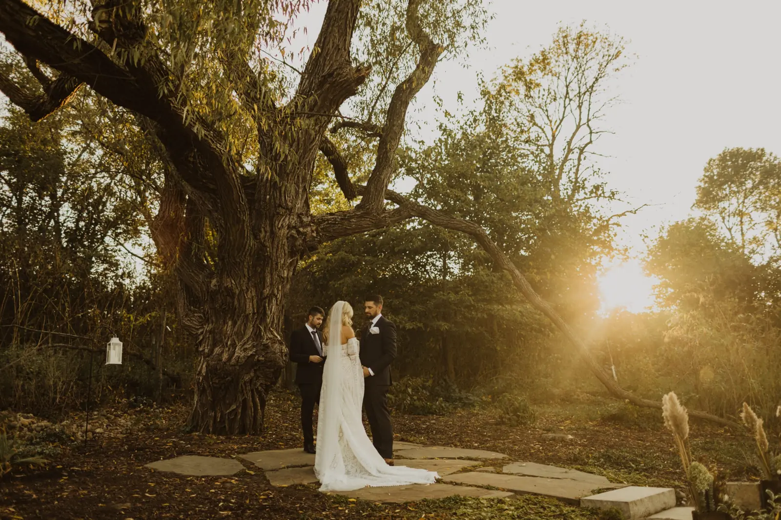 Portraits beneath the 100-year-old willow