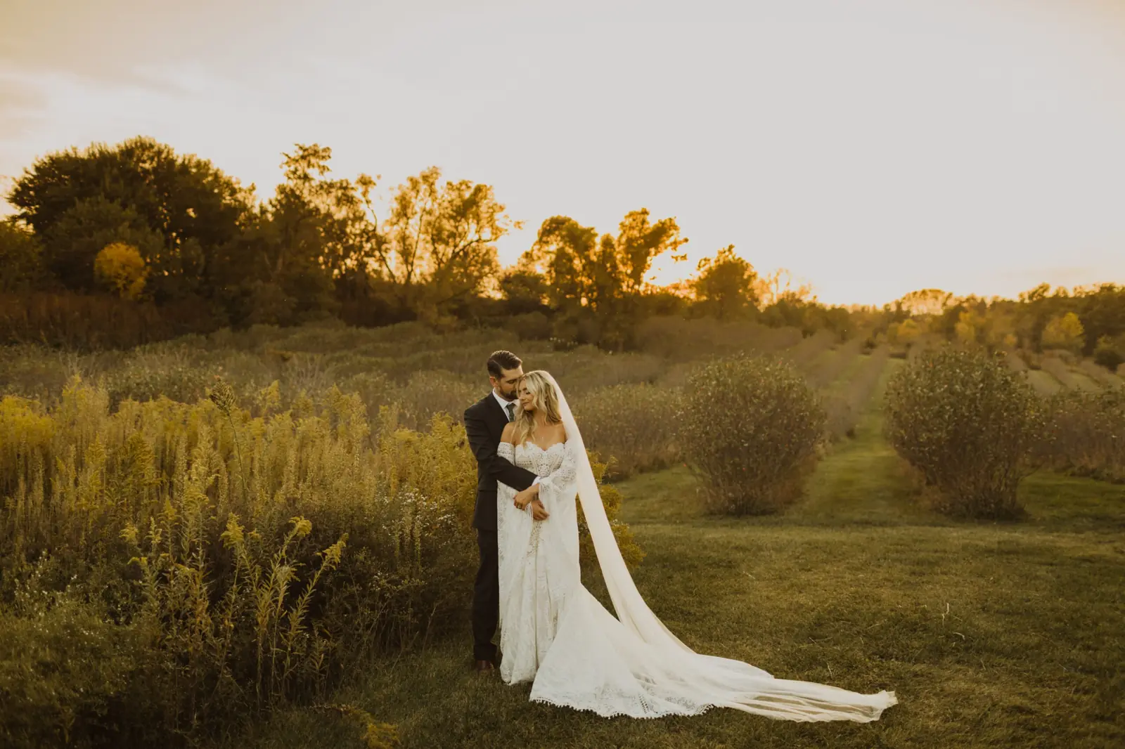 Golden hour in the fields