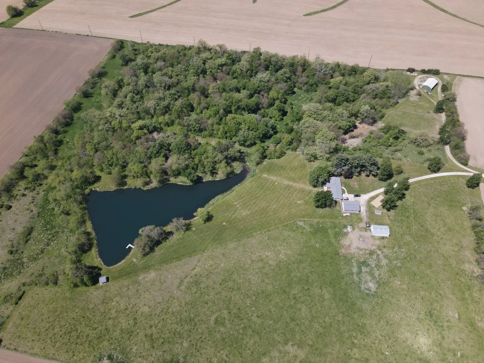 The spring-fed pond