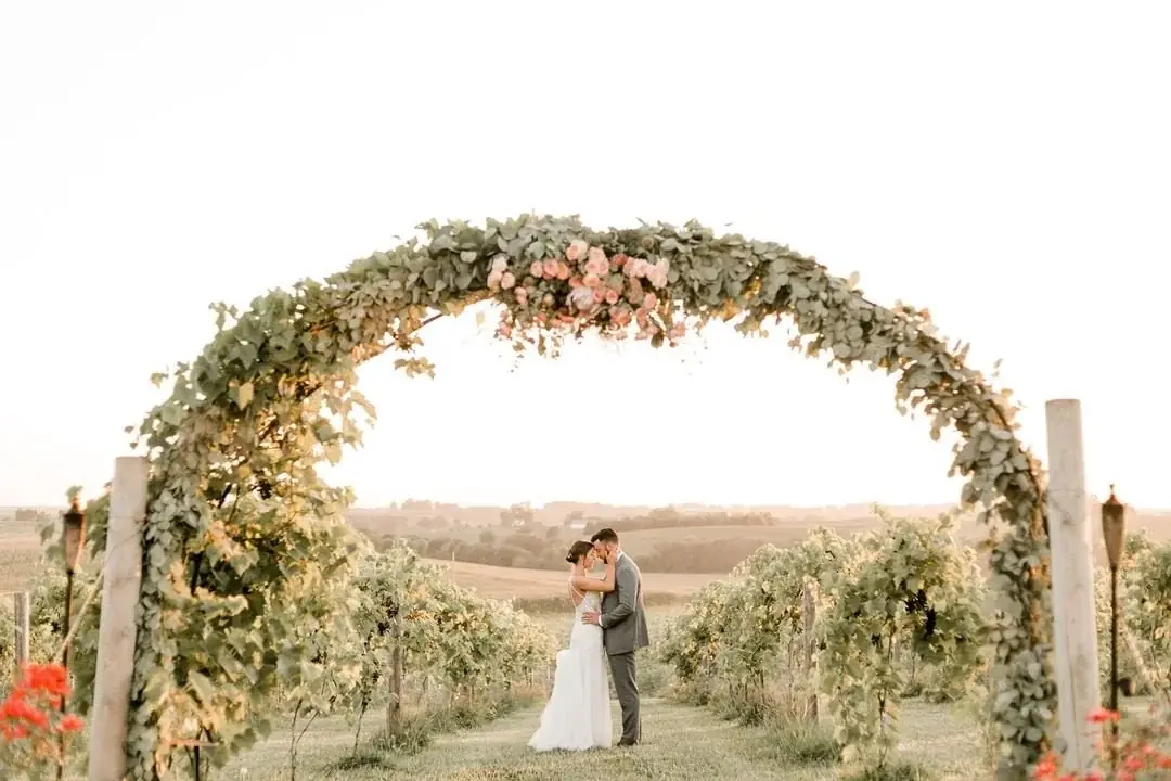 The ceremony arch above the vineyard